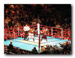 Click to enlarge